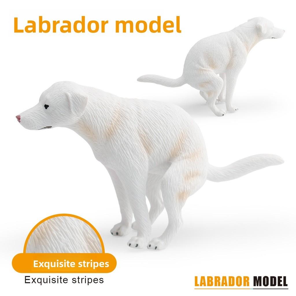 Labrador Retriever Dog Model Pvc Sculpture For Kids Gift And Animal Enthusiast Collectors