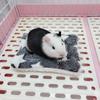 Pet Hamster Mat Guinea Pig Cages Pad Rodent Cage Squirrel Rabbit Hedgehog Chinchilla House Hamster Accessories Hamster Liners