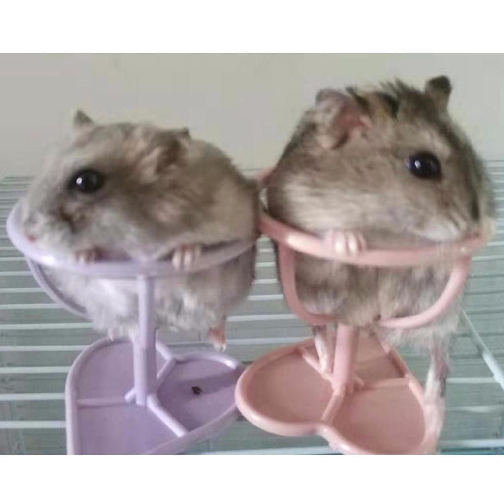 hamster cage stand