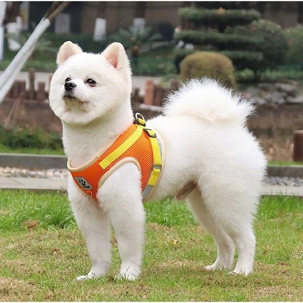 Laa Comfortable Harness + Leash Set, Pink Blue