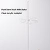 Plant Stem Hook With Stake Holder Clear Acrylic Plant Holder Hook Climbing Plant Support Clips for Orchid Rose Flowers