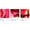 NEUES LED-Lichttherapie-Panel 45W Körper-Schmerzlinderungsbehandlung 660nm 850nm Nahinfrarot Ganzkörper Gesicht Anti-Aging Rotes Wachstumslicht