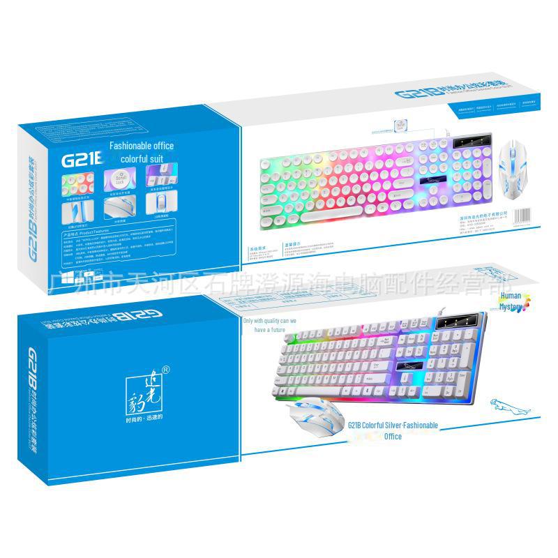 Chasing Light Leopard G21B USB Wired RGB Keyboard & Mouse Set for Office, Business & Gaming
