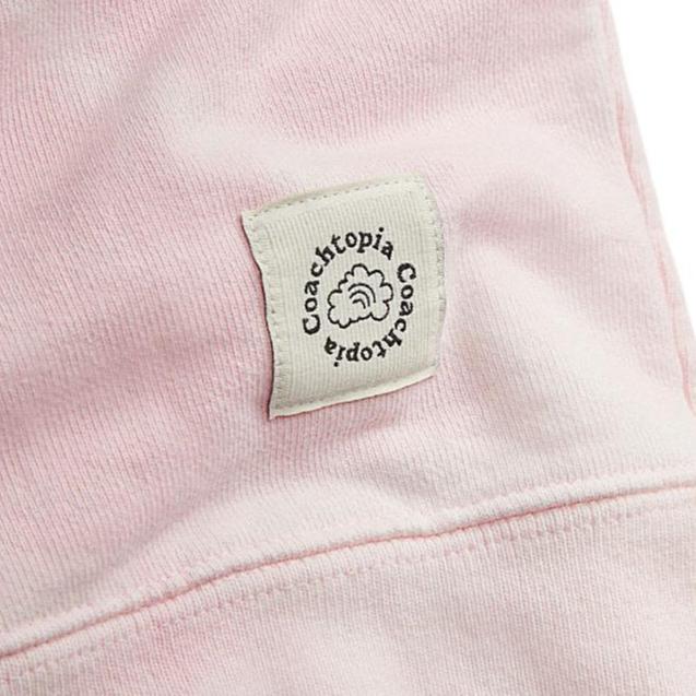 Coach Star Print Hooded Long Sleeve Sweatshirt Unisex Sweatshirt Light-Pink CN988-M05