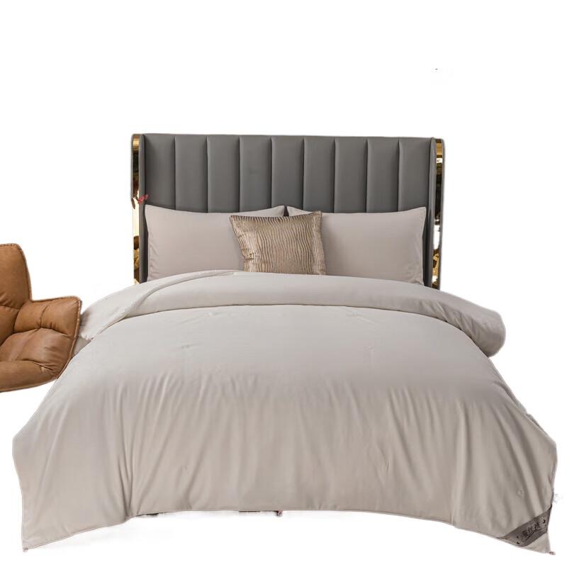 PLOVER Jacquard Silk & Soy Fiber Autumn/Winter Quilt