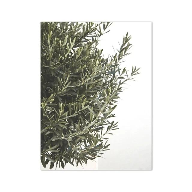 Spanish Architecture Puglia Village Photography Poster & Prints Green Leaf Indoor Plants Painting Decor Boho Picture Home Decor