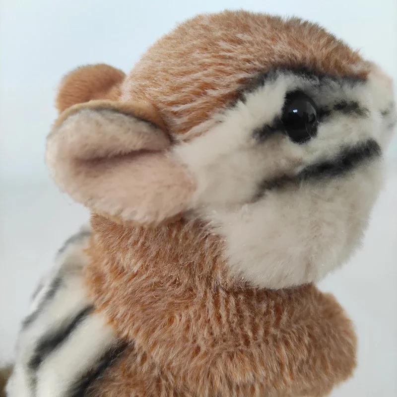 Adorable Lifelike Chipmunk Plush Toy Kawaii Chippy Stuffed Animal Doll Cute Toy Gift For Kids Home Decoration Wholesale Dropship