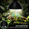 Reptile Heat Lamp Dome 85 Inch with Thermostat Control for Terrarium Lighting Amphibian Habitat Accessories