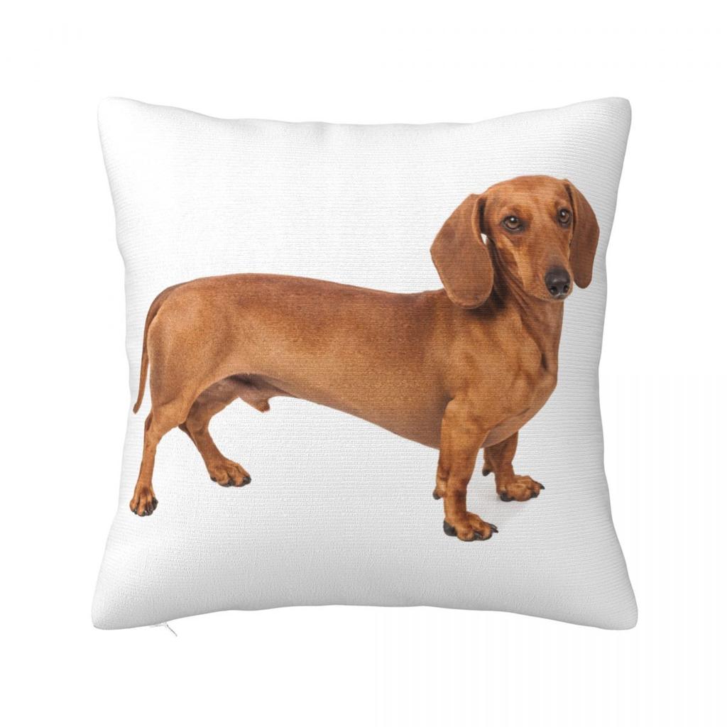Dachshund Pillow Cases Gift for Animal Dog Lover Cushion Covers Awesome Polyester Decorative Pillowcase for Home 18x18