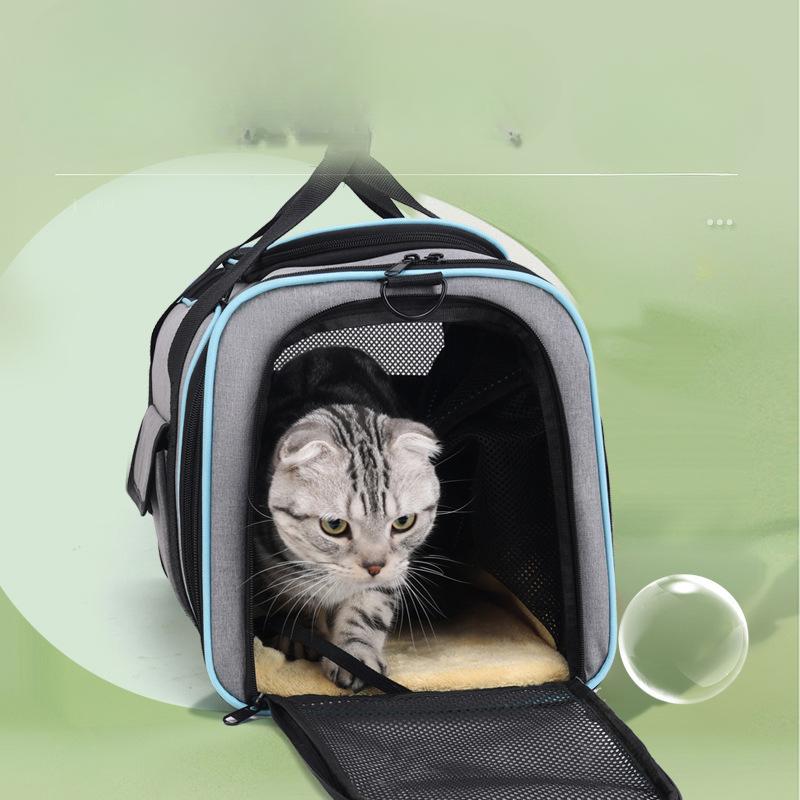 Sac à dos portable pour chat, sacoche d'extérieur extensible pour animal de compagnie