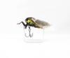 Jackson Namazemi Cicada Floating Lure HRZ (5015)