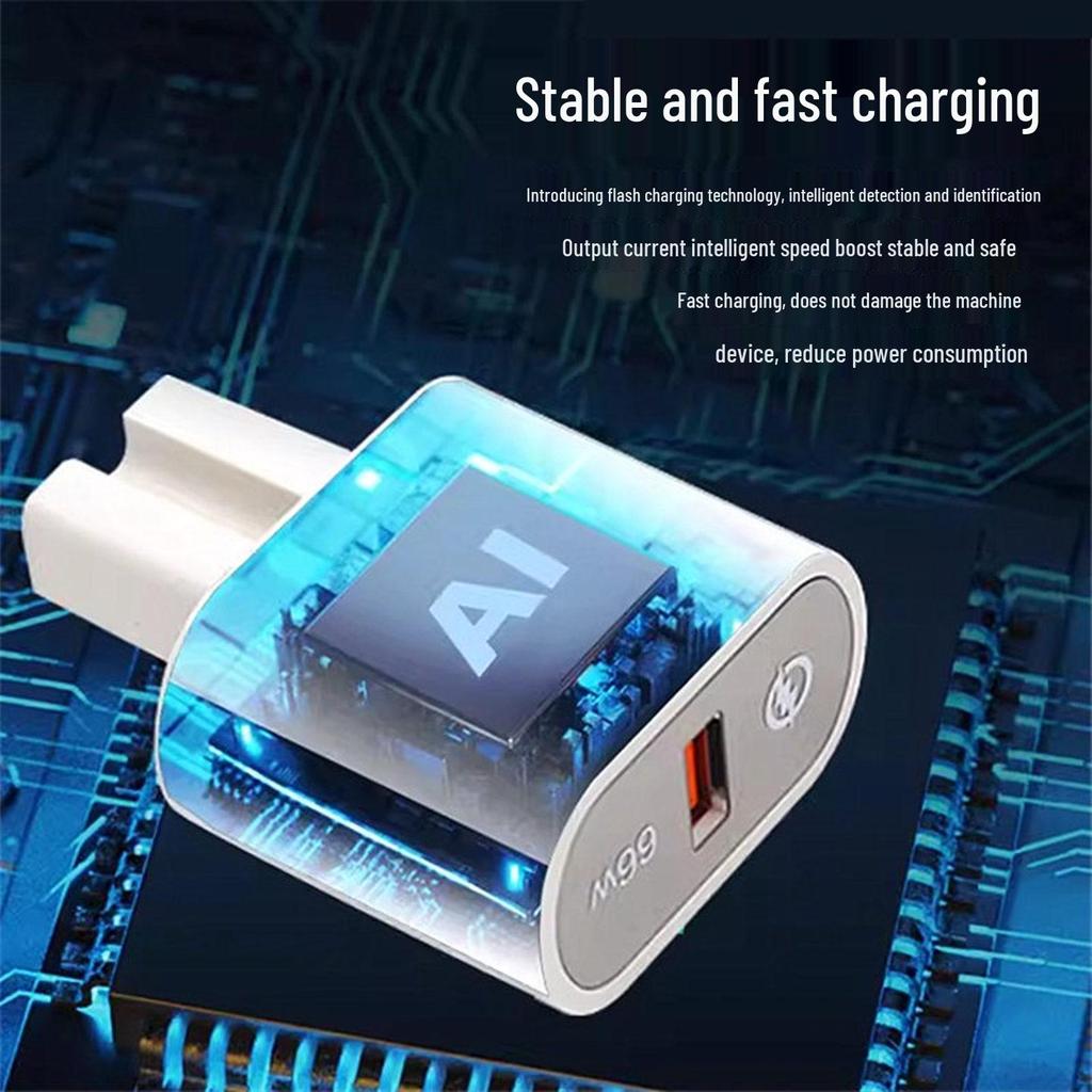 Universal 66W Flash USB Charger for Electric Vehicles (48V-100V)