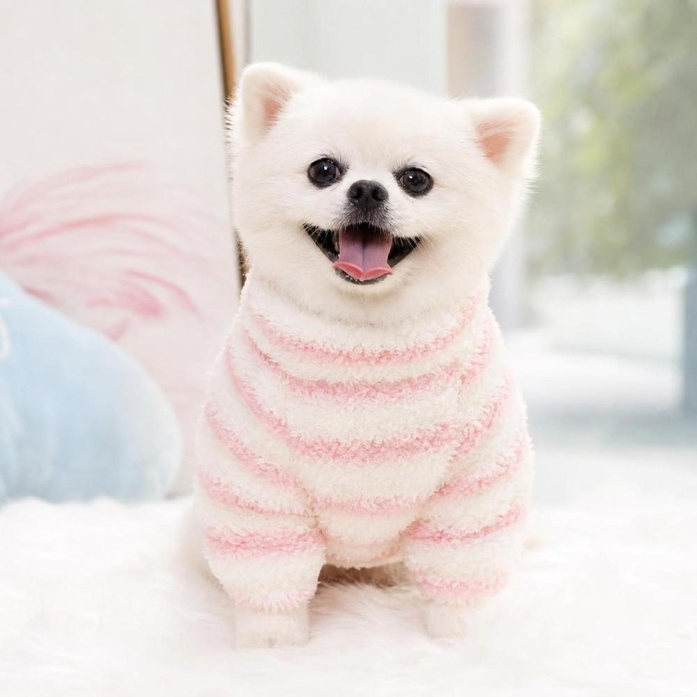 Winter Dog Hiking Jacket Windproof Dog Bodysuit Fashion Plush Dogs Coat for Small Medium Dog