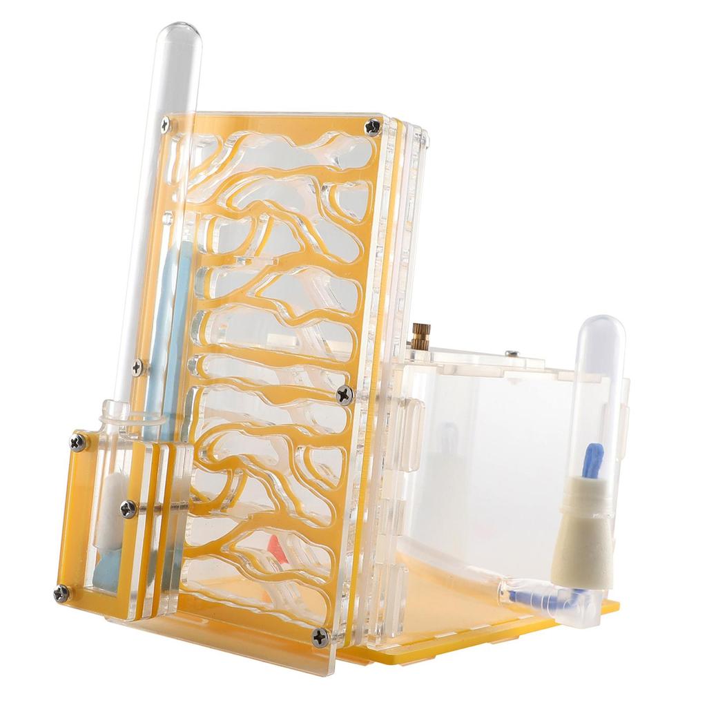 Breeding Case with Feeder Observation and Tabletop Display
