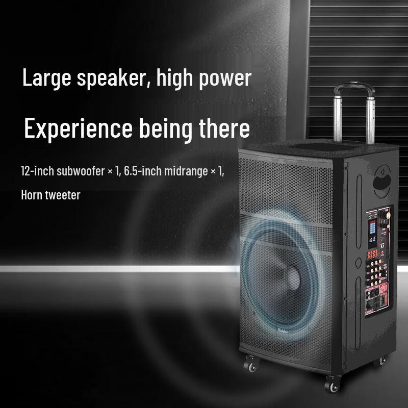 Runpu RP-EX70 12-inch Portable PA System (CN version)