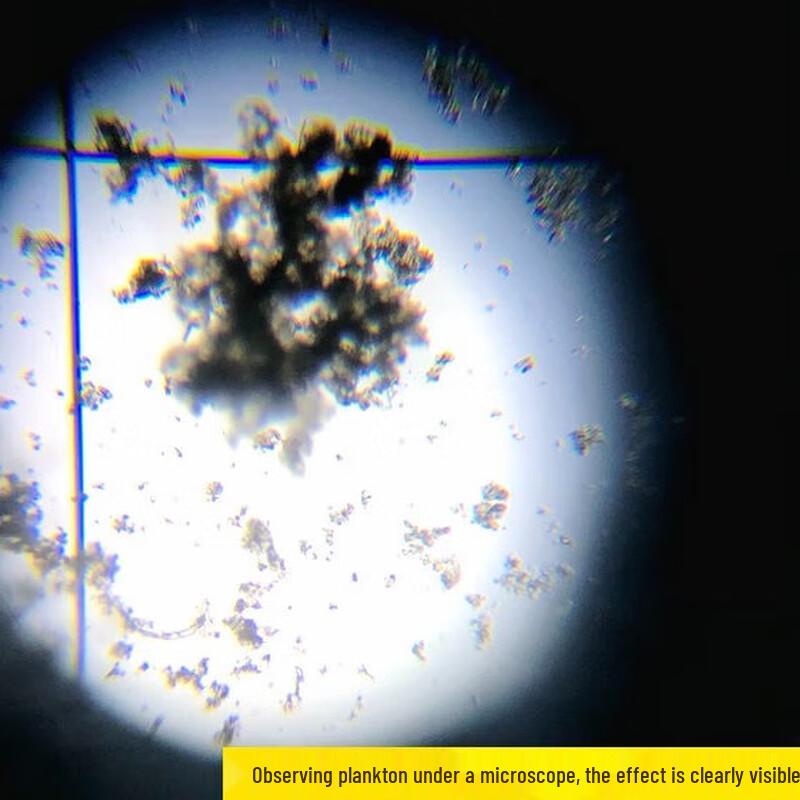 Plankton Counting Chamber