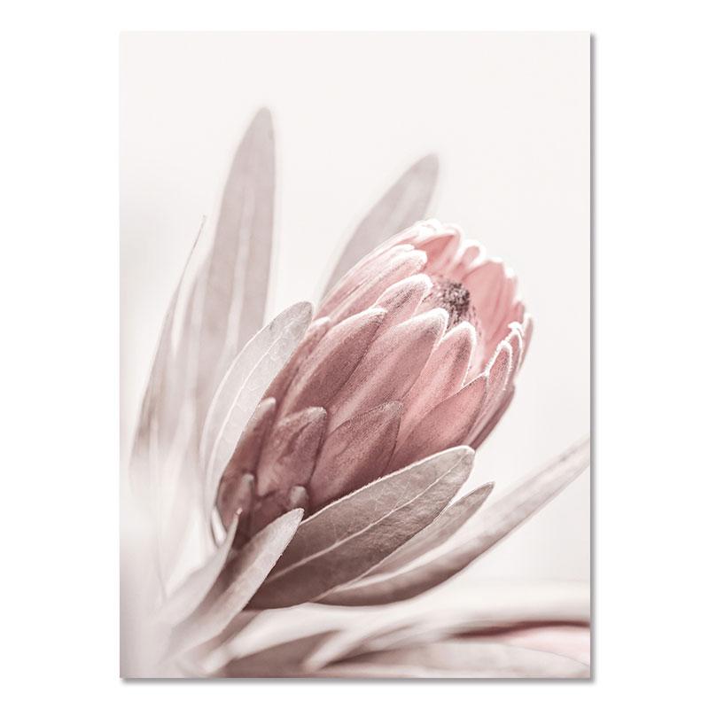 Nordic Style Wall Posters Flower Paintings for The Living Room Aesthetic Room Decor Picture on The Wall Art Canvas Prints