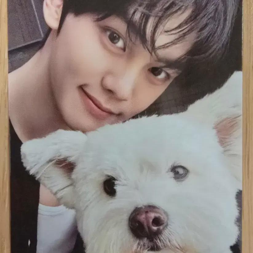 

Kim Gyuvin Leo Photocard Digipack Jevewon Zerobaseone