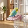 Shell Shape Parrot Perch Stand Wear-resistant Bird Cage Perches Home Training