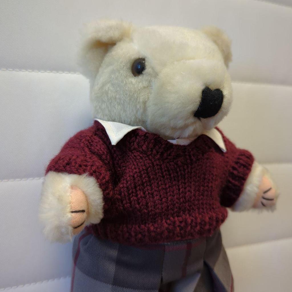 [USED] Teddy Bear High School Girl