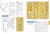 Artistic Anatomy for Artists