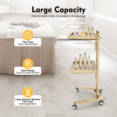 2-Tier Hair Salon Trolley Cart with Wheels, Gold Stainless Steel Beauty Storage Organizer Roller Cart for Salon, Home, Spa