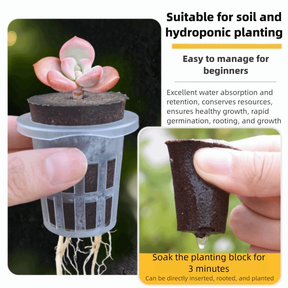 Plastic Material Hydroponic Seed Planter Pots Reusable Durable Seedling Baskets Transparent Plastic Cups Windowsill Gardening