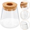 Glass Hydroponic Vase for Plants 9x9.3cm High Borosilicate Glass Propagation Station Elegant Table Decor