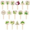 Plant Label Identification Set, 15 Garden Identification Signs, Outdoor Garden Plant Labels, Plant Labels