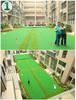 PGM Indoor Golf Putter Trainer with Artificial Green