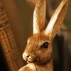 PURE HOME + LIVING Gold Metal Finish Polyresin Rabbit Figurine