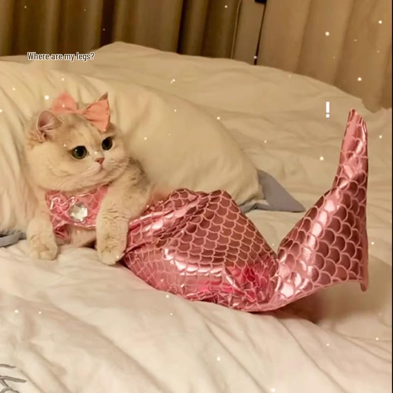 Sexy Summer Pet Swimwear: Cute and Lightweight Cat and Dog Clothes