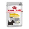 Pâtée - Royal Canin - DERMACOMFORT MOUSSE - Pelage Terne - Lot 12 X 85g - Chiens Adultes
