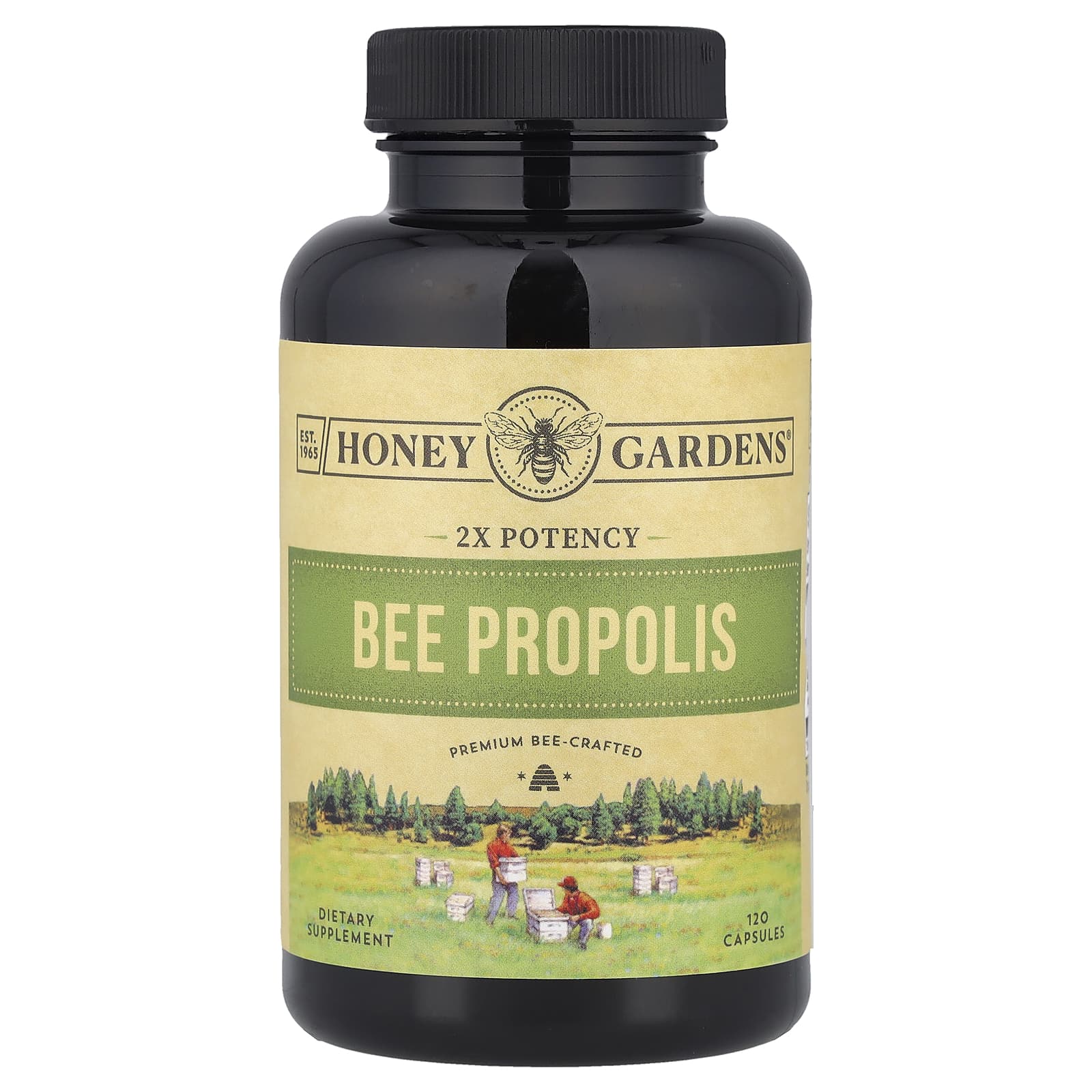 

Propolis, Double Potency, 120 Capsules (400Mg per Capsule)