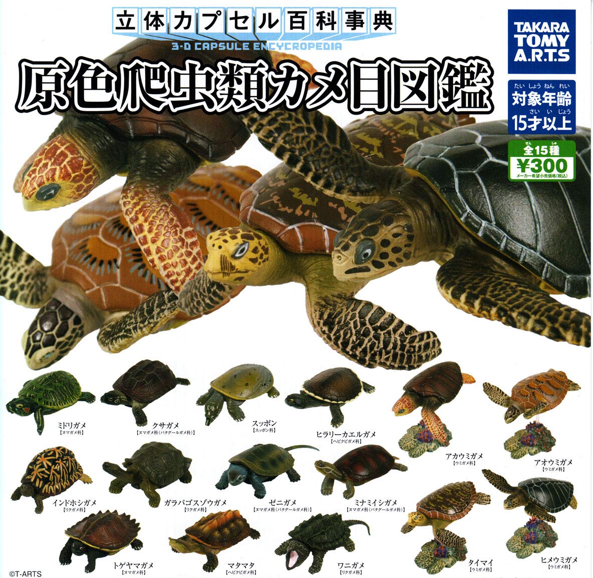 

Capsule 3D Capsule Encyclopedia Primary Color Reptile Turtle Eyes Illustrated Book All 15 Types Set