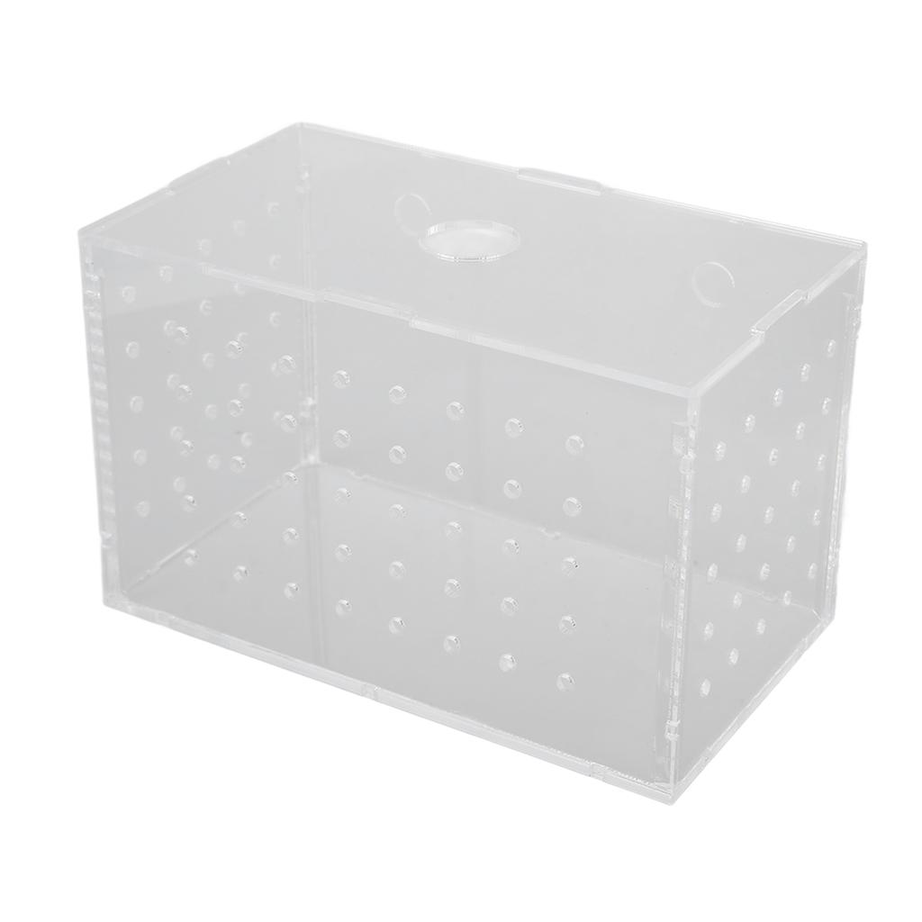 Fiskeoppdrettsboks Akryl med høy gjennomsiktighet Klekkeri Inkubatortank med sugekopper for baby