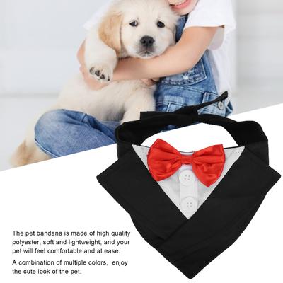 Îmbrăcăminte și încălțăminte – Accesorii pentru câini