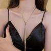 Snake bone chain adjustable necklace fashionable exaggerated collarbone chain cold wind neck chain