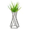 2PCS Iron Air Plant Holder Geometric Design Versatile Placement Geometric Iron Tillandsia Holder Black Lightweight