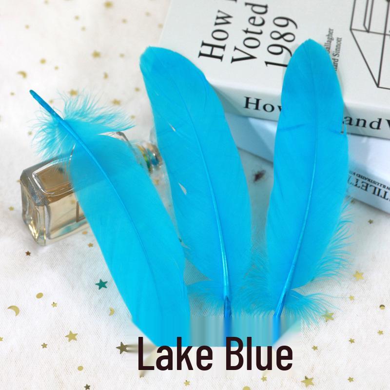 Barevná barvená velká husí pera pro DIY řemesla, ručně vyráběné dekorace a projekty pro mateřské školy