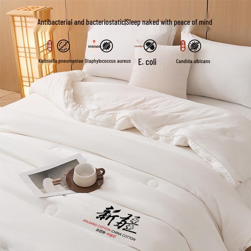 Muji Style 100% Xinjiang Cotton 2-in-1 All-Season Quilt