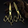 Napson Gold 6.0" Swivel Hairdressing & Barber Scissors Set (Straight & Thinning)