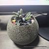 Retro Round Pot - Coarse Pottery, Breathable, Creative Succulent Planter, Simple Table Decoration for Green and Potted Plants.
