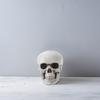 6 Peças 2,4x2,4x1,9 polegadas Crânios de Plástico Realistas Adereços para Decoração de Halloween Assustador Lareira Mesa Prateleira Exibição Ktv Bar Assombrado
