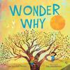 Wonder Why by Lisa Varchol Perron Hardback Book 9780063310421