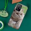 British Shorthair Cat Case For POCO F5 X5 X3 Pro X4 F4 GT F3 M5s C40 Cover For Xiaomi 13 12 Lite 11T 12T Pro 12X