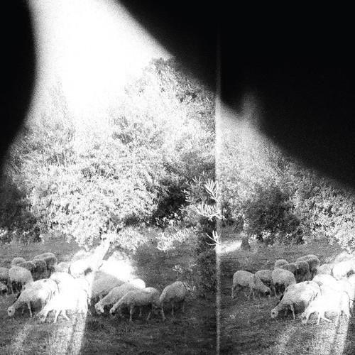 Godspeed You! Black Emperor - Asunder Sweet and Other Distress