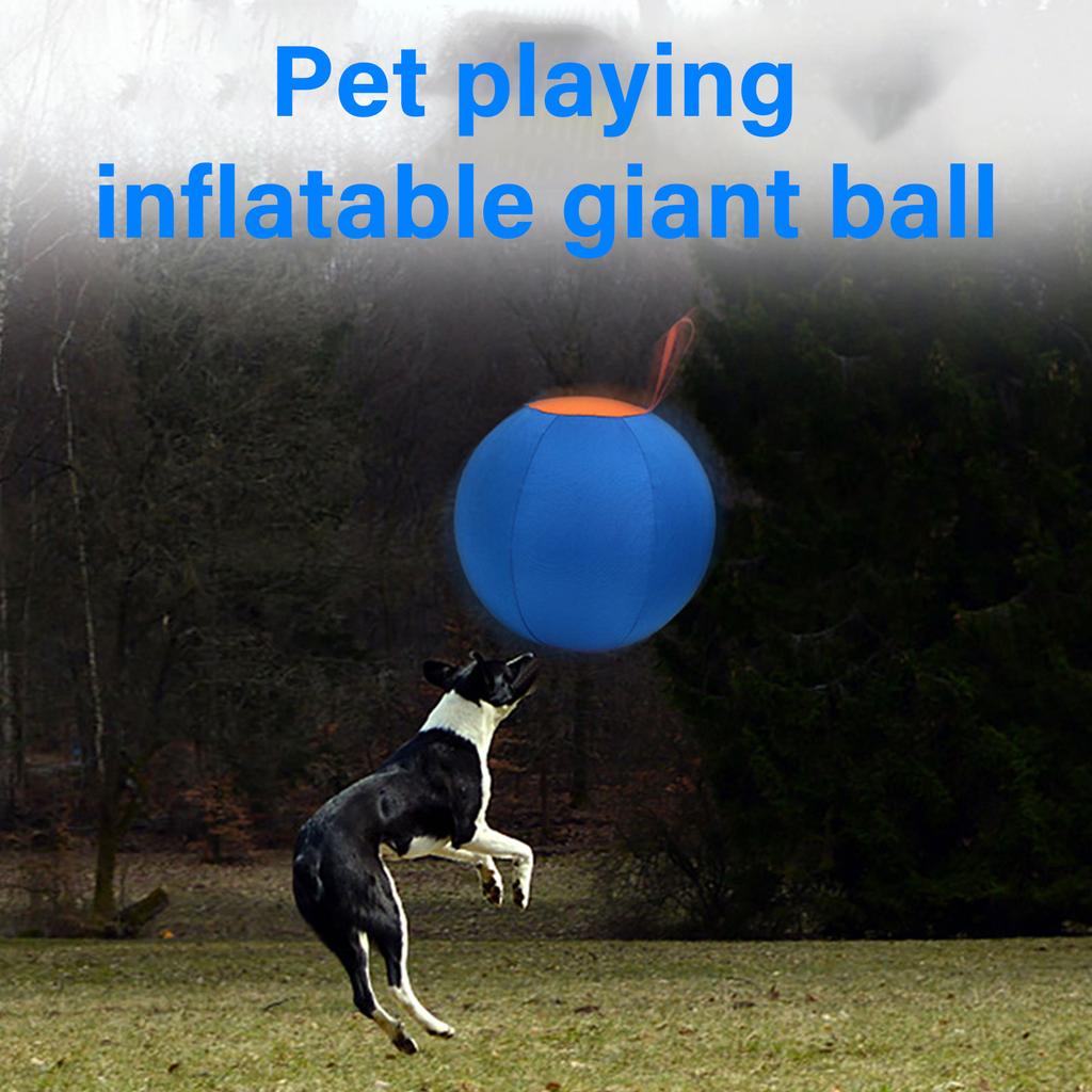 Large Inflatable Dog Toy Ball for Outdoor Fun And Training Heavy Duty Interactive Bouncy Toy for Backyard Play