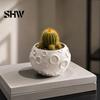 Kleiner Grüner Blumentopf 3D-gedruckter Mond-Blumentopf für Sukkulenten, Kreativer Mondoberflächen-Pflanztopf aus PLA-Material Schreibtischdekoration, Minimalistisches Home-Office