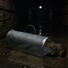 Galvanized Rat Trap Cage High Sensitivity Mice Rodent Catcher Non-toxic Live Mousetrap  Garden